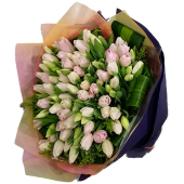 Wonderful 100pcs Holland Tulips Bouquet