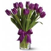 Passionate Purple Tulips