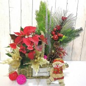 Poinsettia Arrangement