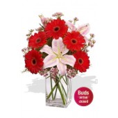 Gerberas and Oriental Lily Vase Bouquet