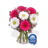 7 Gerbera  in Vase 