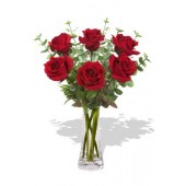 6 Long Stem Premium Roses Wrapped