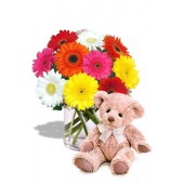 Gerbera Bouquet with Teddy