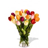 24 Mixed Tulips Bouquet