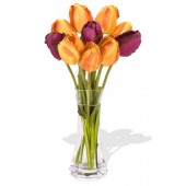 10 Mixed Tulips Bouquet