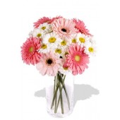 16pcs Mixed Gerbera and Chrysathemum Vase Bouquet