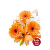 Asiatic and Gerbera Bouquet