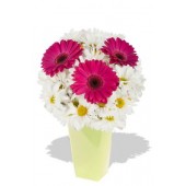 Gerbera and Chrysanthemum Bouquet