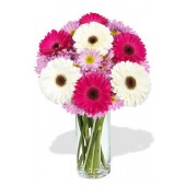 Gerbera and Chrysanthemum Bouquet