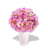 Chrysanthemum Bouquet