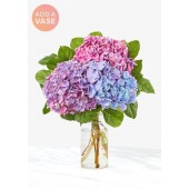 The Andrea Vase - Three Hydrangea